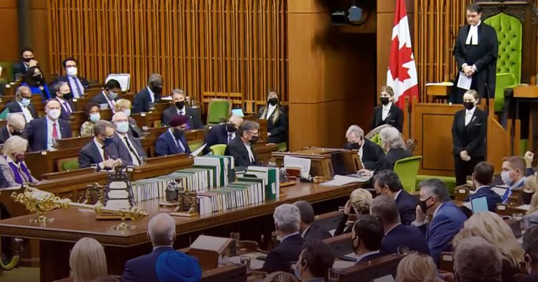 Who cares about an MPs medical history?