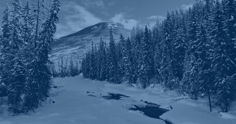 True North’s Top 10 news stories of 2021