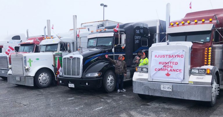 The elites belittle the Truckers For Freedom Convoy and Freedom Rallies