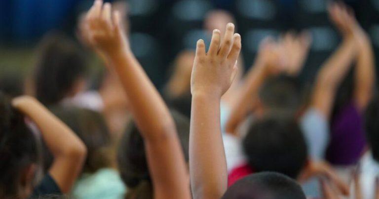 The Rupa Subramanya Show | The cost of speaking out as a teacher (Ft. Chanel Pfahl)