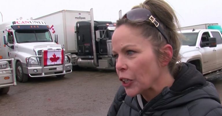 Judge who denied bail to Freedom Convoy organizer ran for Liberals in 2011