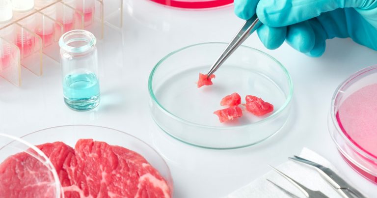 Liberals want Canada to be a leader in “lab meat” production