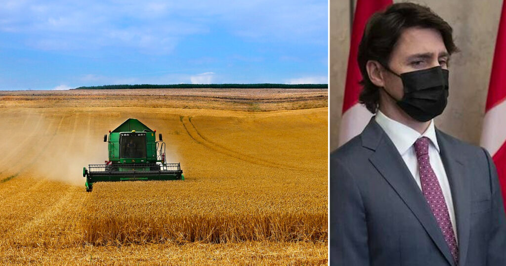 Federal emission targets “unachievable” without “drastic reduction” in fertilizer use: report Federal emission targets “unachievable” without “drastic reduction” in fertilizer use: report