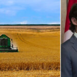 GUEST OP-ED: Trudeau needs to leave Canada’s farmers alone