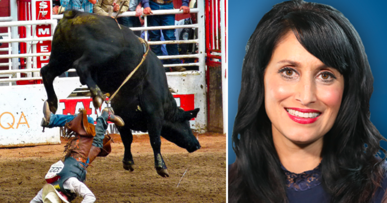UCP leadership candidate Leela Aheer saves boy being trampled by bull