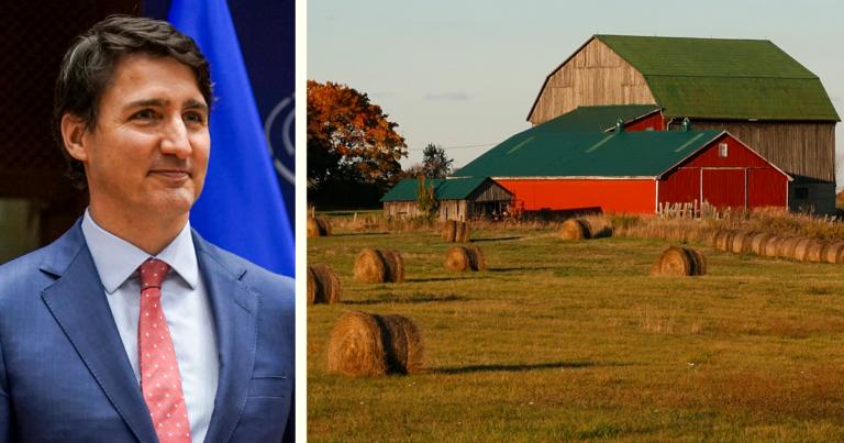 Liberal fertilizer targets impose “significant costs” to crop production: report