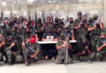 Feds stand by Mexican visa lift as cartels take over fentanyl trade