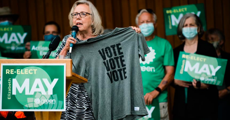 Green Party scales back leadership race after resignations