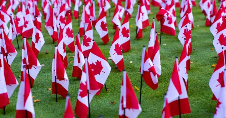 Thousands of flags erected in Toronto to honour veterans