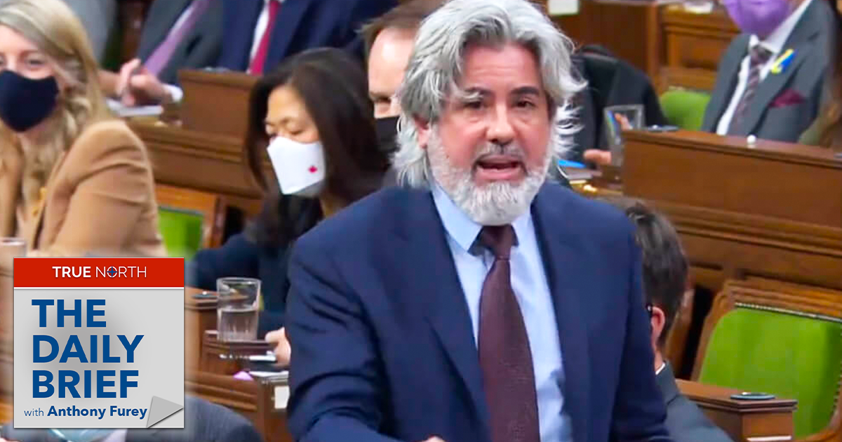 The Daily Brief | Will Bill C-11 regulate user-generated content?