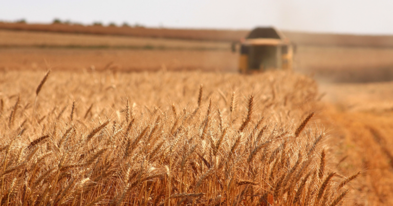 The Daily Brief | Trudeau wants to force farmers to cut emissions