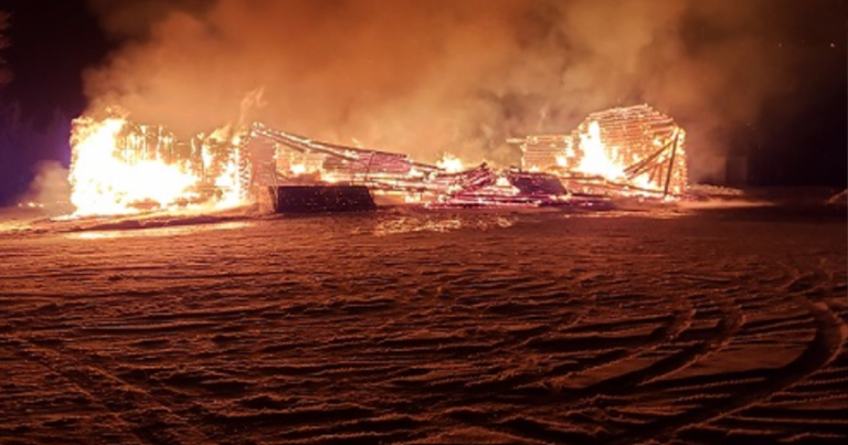 The Daily Brief | Do Liberals care about burned churches?