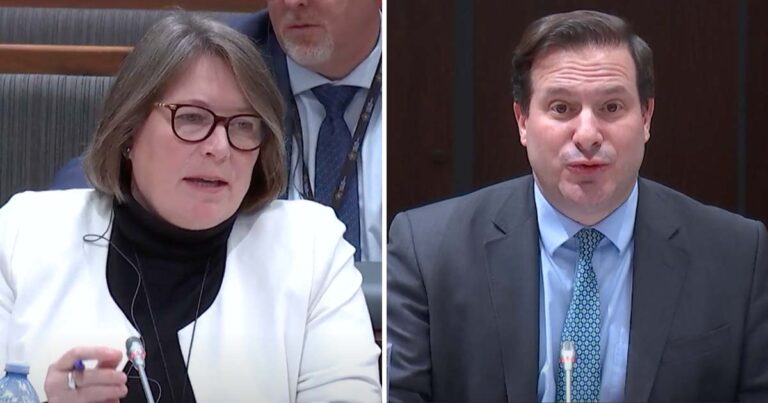 No arrests: Mendicino, Lucki testify over alleged Chinese police stations