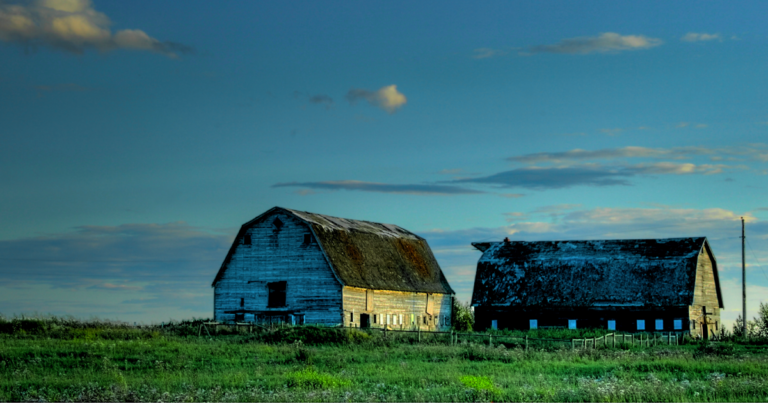 The Daily Brief | Trudeau’s fertilizer emissions scheme unfairly targets the west