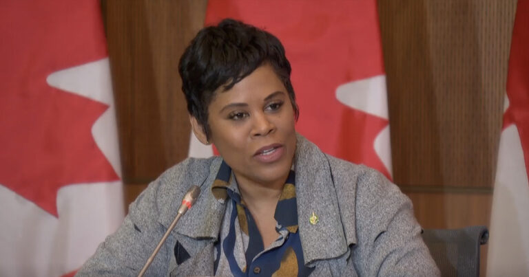 Liberals reveal new Black justice strategy to combat racism