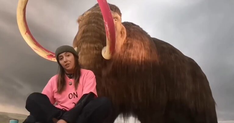 Climate activist throws paint on woolly mammoth at Royal BC Museum