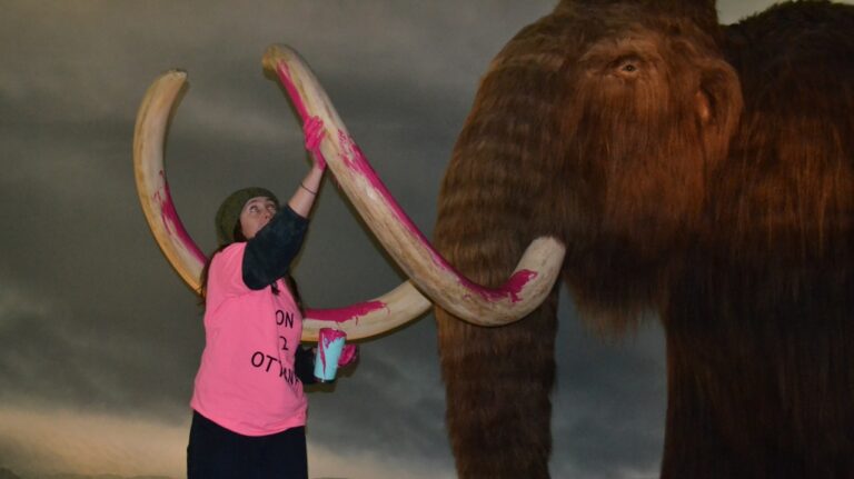 The Daily Brief | Yet another climate activist vandalizes a cultural institution