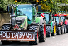 Fertilizer rules scandal rocked Dutch politics — could the same happen in Canada?