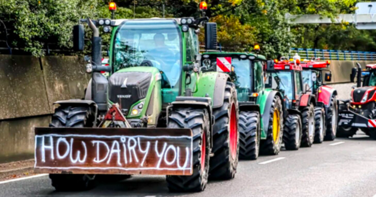 Fertilizer rules scandal rocked Dutch politics — could the same happen in Canada?