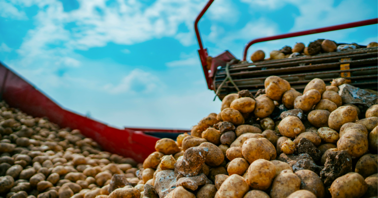 McCain Foods announces record investment in Alberta facility