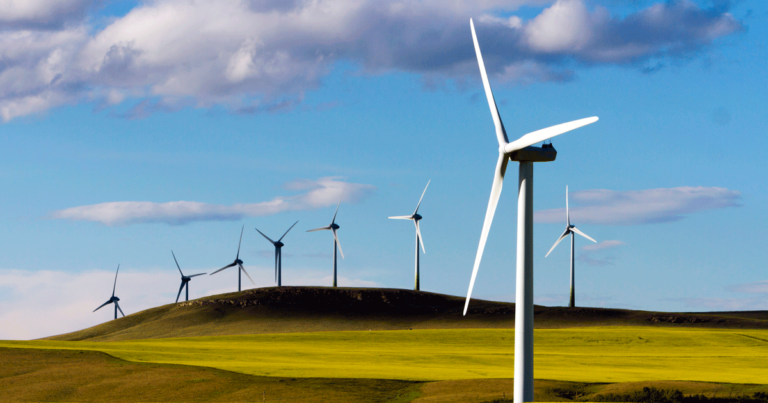 Alberta pauses all applications for wind and solar farms until Feb