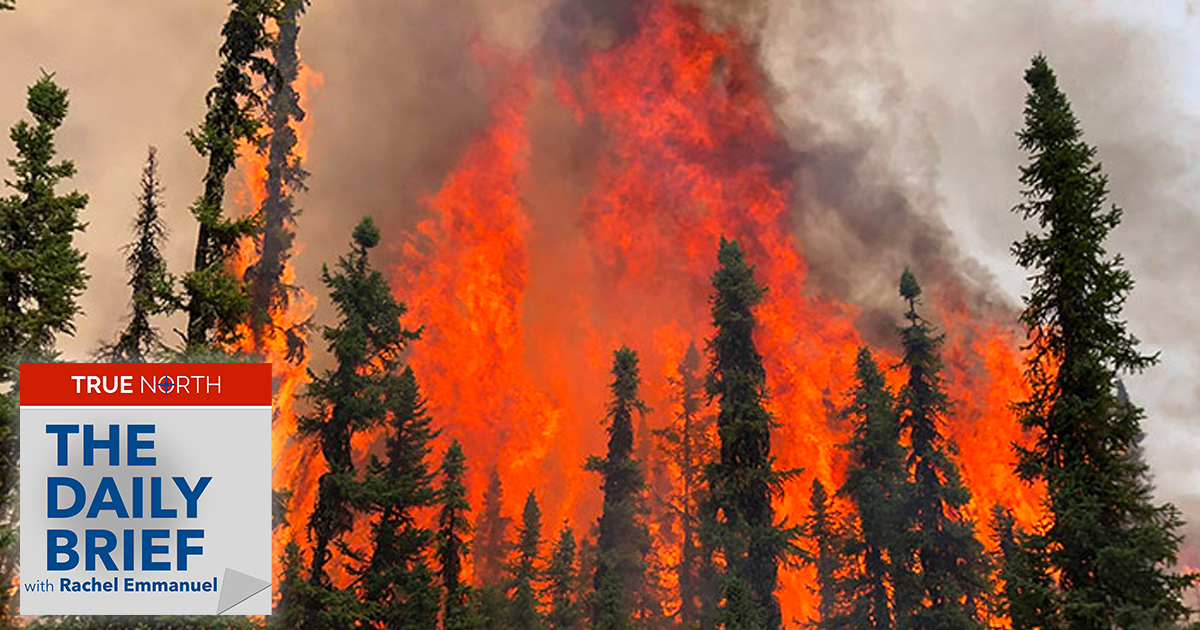 The Daily Brief | Is it appropriate to campaign during a state of emergency?