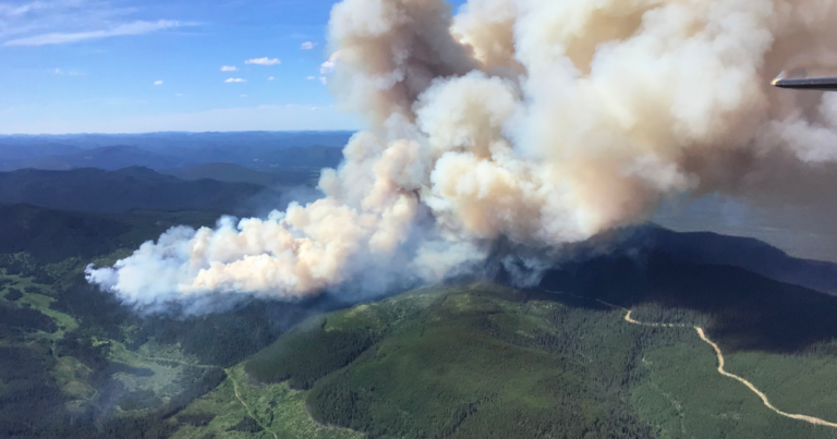 The Daily Brief | A state of emergency in Alberta