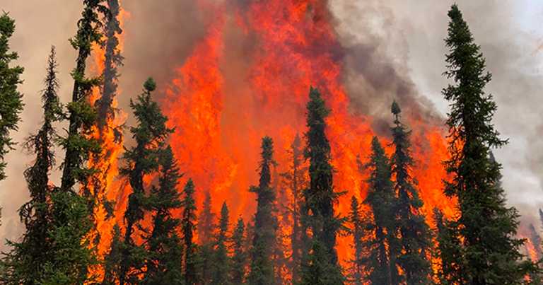 The Daily Brief | Is it appropriate to campaign during a state of emergency?