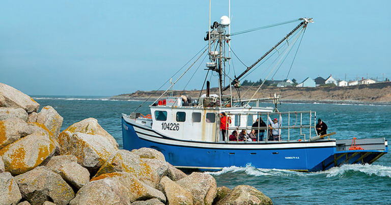 Concerns surface about Chinese-control over Nova Scotia’s lobster industry