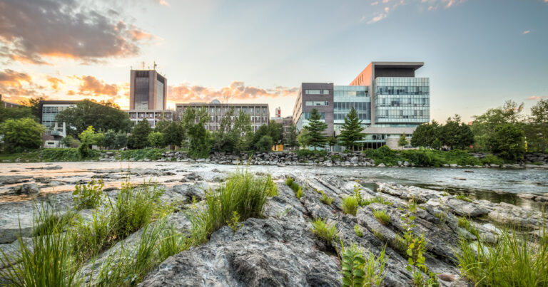 The Daily Brief | Not respecting pronouns is a human rights violation?