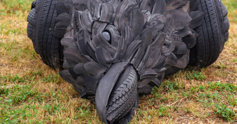 Feds spent $14k on controversial dead crow sculpture