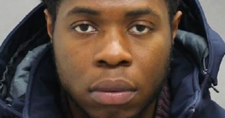 Convict who threatened Toronto’s mayoral candidates released on bail