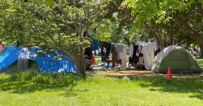 LEVY: The occupation of Allen Gardens – Toronto’s major drug problem