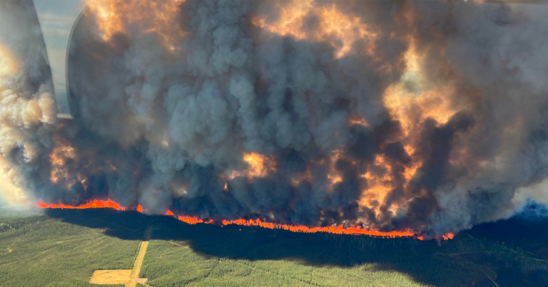 B.C. wildfires may have been ignited intentionally: RCMP