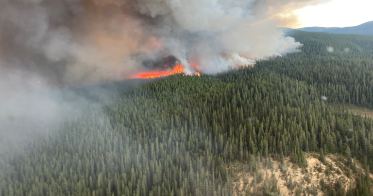 The Andrew Lawton Show | The Liberals think carbon taxes fight forest fires