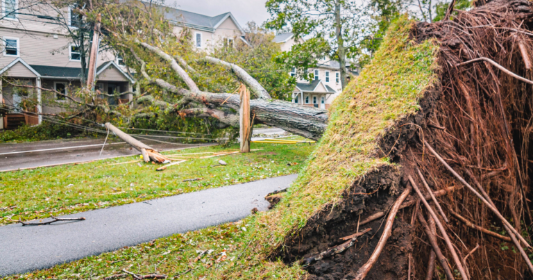 Trudeau government denies P.E.I. hurricane disaster relief money