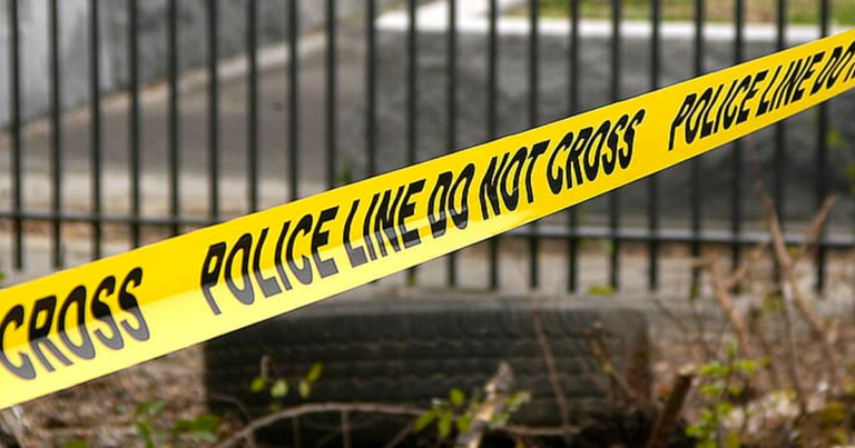 The Rupa Subramanya Show | The woke takeover of Canada (Ft. Ari Goldkind)