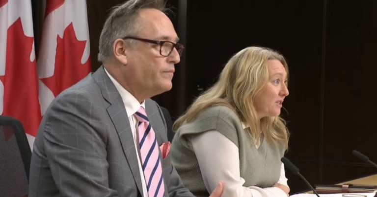 Gov foreign interference study calls for more online misinformation control