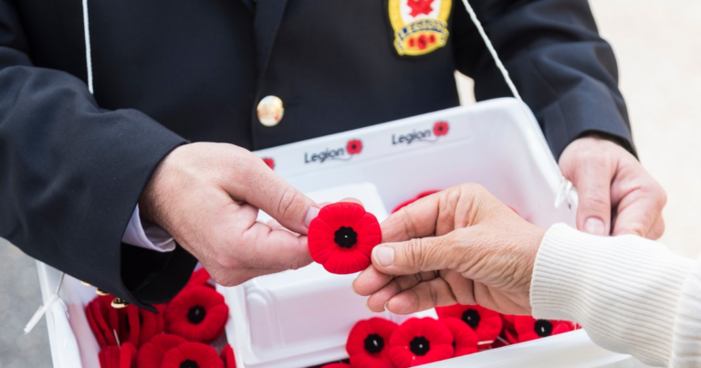 Saskatchewan passes law protecting right to wear poppies at work