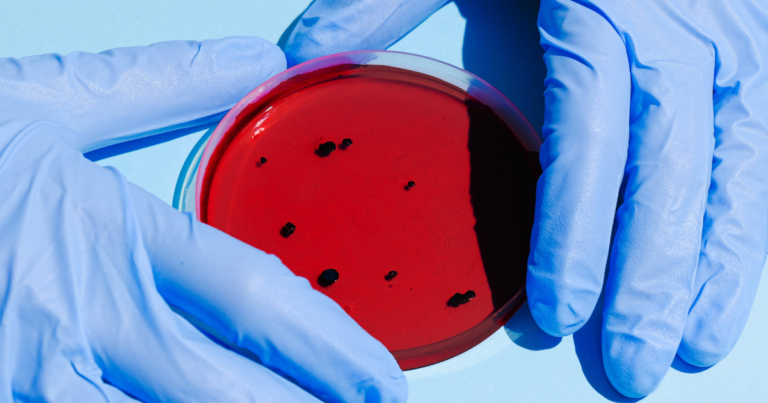 No answers yet about Winnipeg virus lab and firing of China-linked scientists