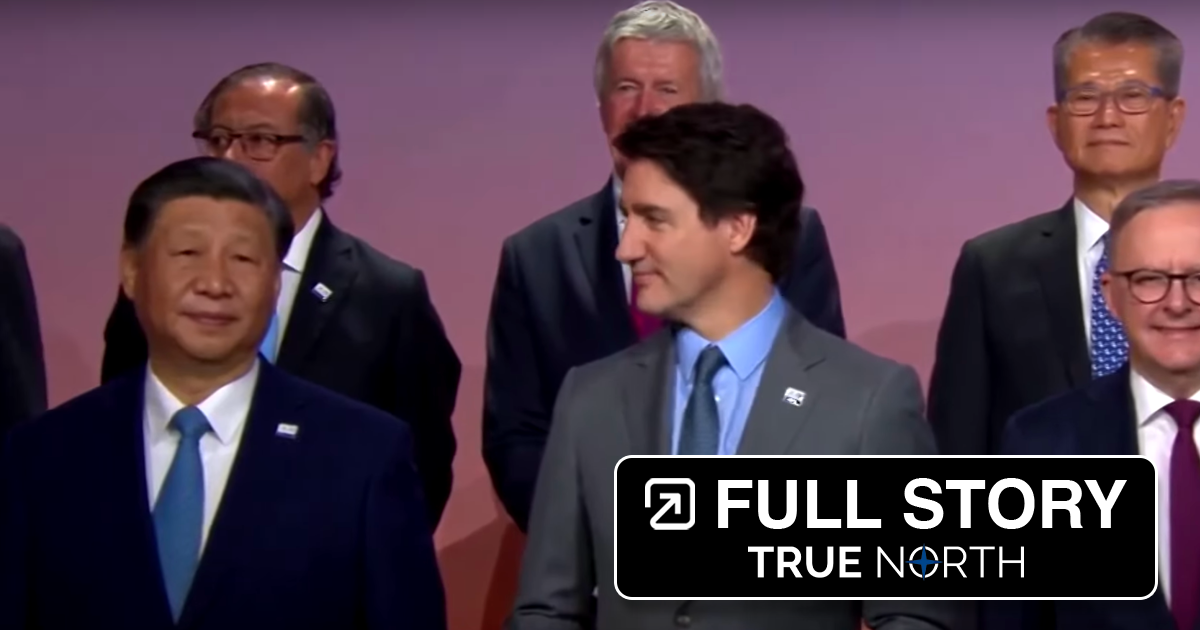 APEC: Trudeau and Xi share frosty formal exchanges amid ongoing diplomatic struggles