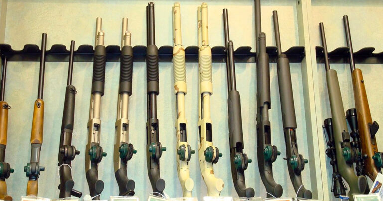 LAWTON: Can provinces set their own gun laws?