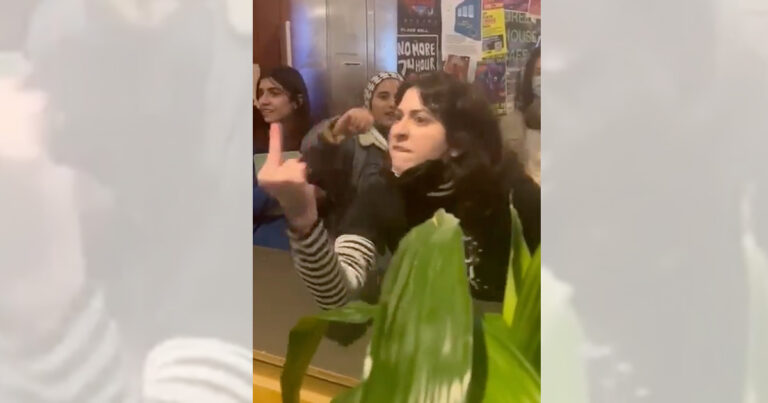 Student brawl breaks out at Concordia University over Israel-Hamas war