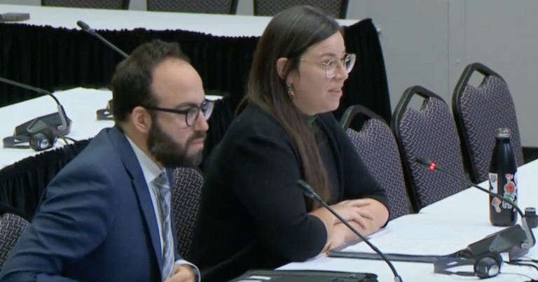 Pornographers appear before commission to discuss Canadian content