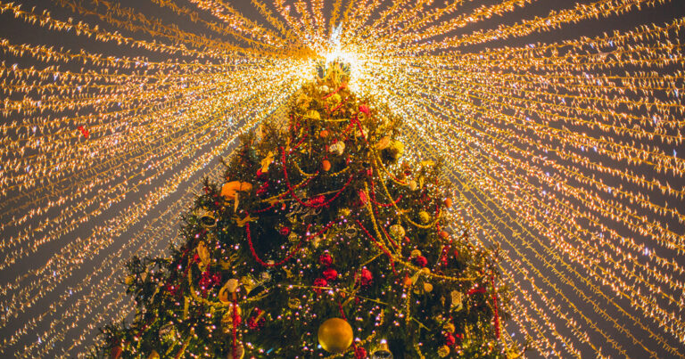 The Daily Brief | A special Christmas edition