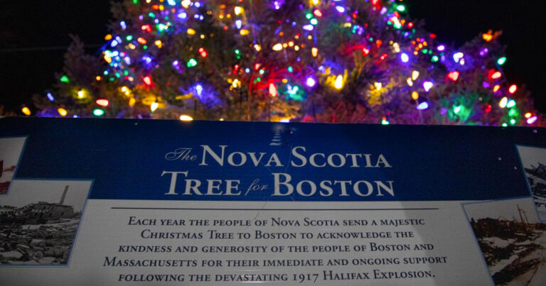 Halifax’s annual Christmas Tree for Boston stands as a reminder of friendship