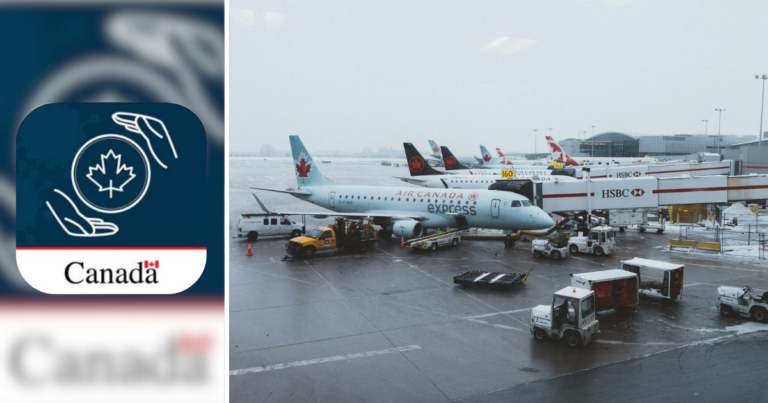 Three-quarters of contractors paid for $53 million ArriveCan app didn’t do any work