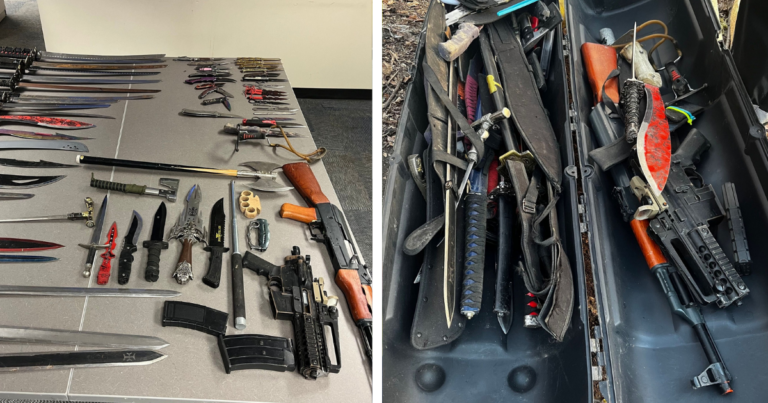 Edmonton police seize weapons from homeless encampment as removals continue