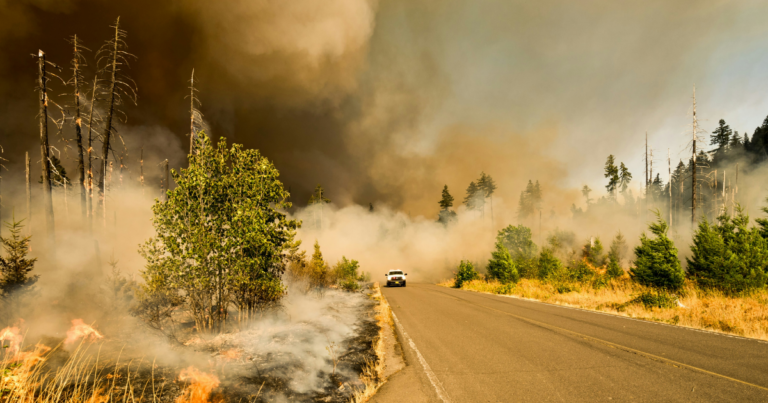 Quebec man pleads guilty to 14 counts of arson during wildfire season