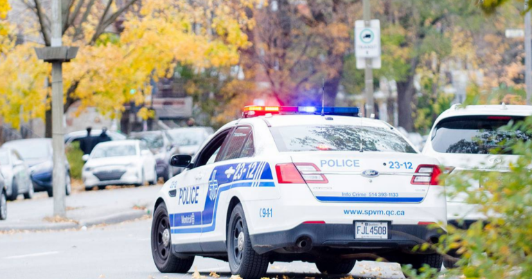 Montreal Police warns against defamation for posting videos of porch thieves online